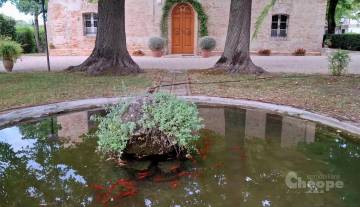 DSC_2_Villa Pignatelli.jpg